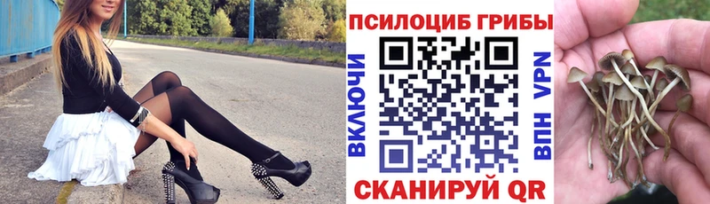 Галлюциногенные грибы мицелий  купить наркоту  Краснослободск 